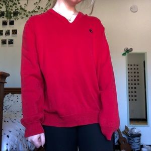 Express V-Neck Sweater